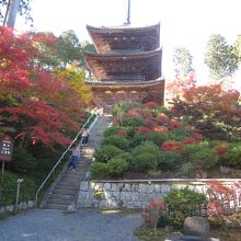 国宝の三重塔と紅葉