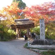 参道のイロハモミジのトンネルが素敵な『長寿寺』