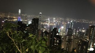 沢山の人が夜景を見に来ています。