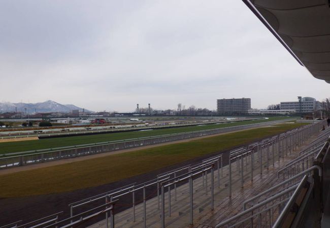 函館競馬場 クチコミ アクセス 営業時間 湯の川温泉 フォートラベル