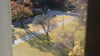 紅葉の木々と柔らかい芝生で甲府城の落ち着くスペースです