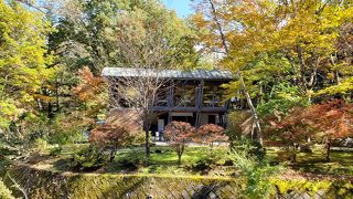 ちょっと高いところから眺められます