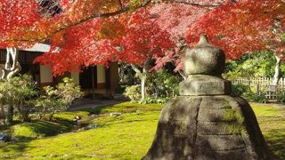 紅葉サイコー＼(^-^)／