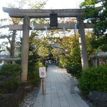 鳩森八幡神社の鳥居と参道です。奥の木陰に、本堂が見えます。