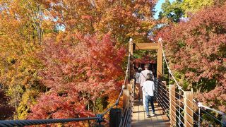 万博サイコー＼(^o^)／今回は紅葉