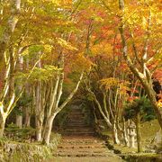 紅葉の季節は込み合う人気スポット