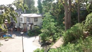 起伏の激しい普通の小さな公園という感じ