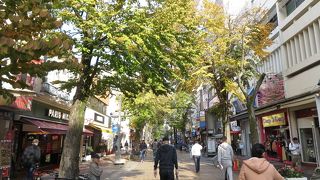 初めて全て歩いてみました