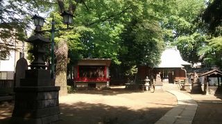 境内にある木々の緑と、それらがつくる影が涼しく素晴らしかった