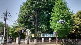 工場自体の観光アトラクション度は低い