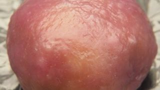 水前寺公園前の和菓子屋