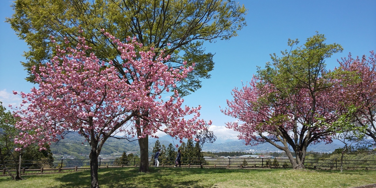 景色の良いサービスエリア