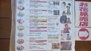 長い桜の期間中に渡って行われるさまざまなイベント