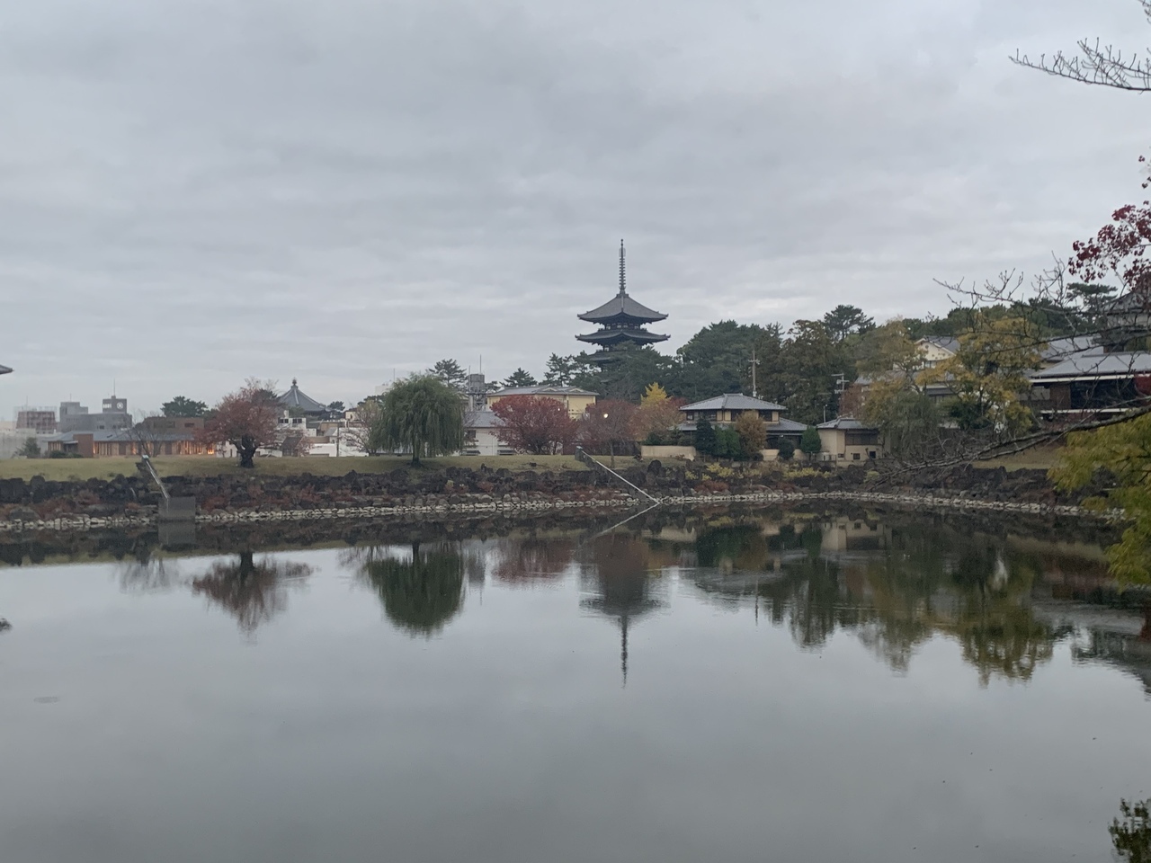 五重塔や奈良ホテルが眺める場所