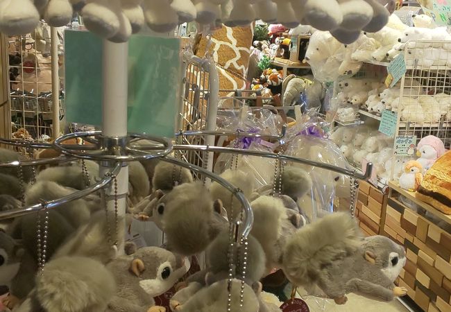 円山動物園オフィシャルショップ クチコミ アクセス 営業時間 札幌 フォートラベル
