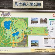 緑あふれる公園