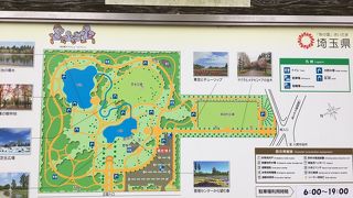 緑あふれる公園