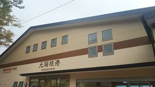 芦ノ湖遊覧船乗り場の一つ。