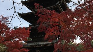 速報　仁和寺の紅葉　2019/11/24