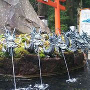 箱根神社境内にあります。