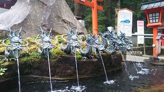 箱根神社境内にあります。