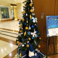 クリスマスツリーもたくさんありました