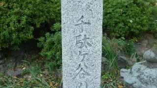 千駄ヶ谷の冨士築山は、江戸時代初期以来、鳩森八幡神社に在り、都内最古のものです。