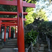 甲賀稲荷神社に向かう鳥居の列と右側の富士築山の並んだ姿です。