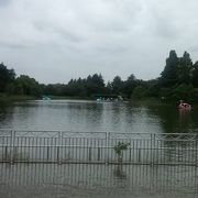 柏周辺において、とても利便性が高い公園ですね。