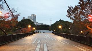 大きな橋の上からは☆