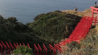 たくさんの鳥居