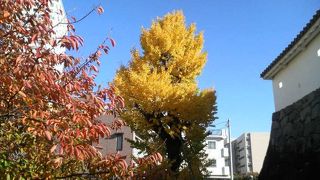 甲府駅北口でレトロな洋館や城門を見ながら気軽に歴史散歩