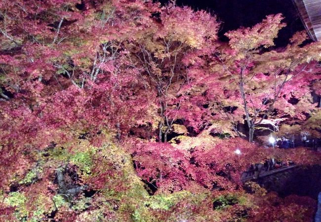 御嶽山播州清水寺 クチコミ アクセス 営業時間 多可 西脇 加東 フォートラベル 御嶽山播州清水寺 クチコミ アクセス 営業時間 多可 西脇 加東 フォートラベル