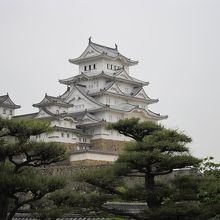 綺麗なお城です。