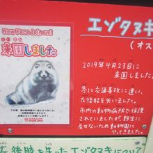 やっぱりこの子のことは暖かく見守ってあげたいです！