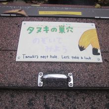 蓋を開けて、狸さんの様子がそっと覗けるようにもなっています