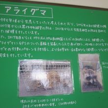 アニメのブームから悲しい現状が生まれた経緯があります…。