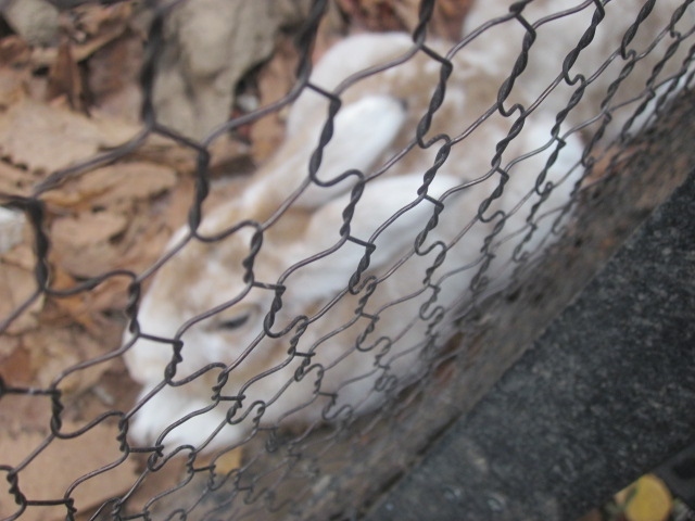 今回は、色々な社会問題を考えながら探訪してみました