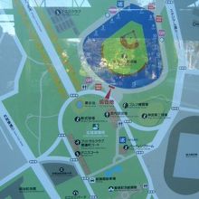 明治神宮外苑の全般図です。外苑通り、銀杏並木通りが見えます。