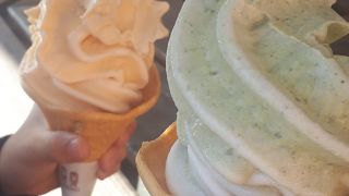 ソフトクリーム、お弁当が充実してました