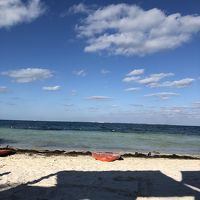 ビーチはこんな感じ