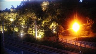 無料なのが嬉しい