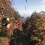 標高が高くなるにつれ、紅葉の色づきも増してきます。