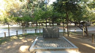 心が痛くなる必死の訴え