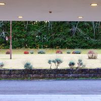 玄関からの庭園