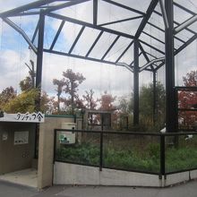 タンチョウ舎の様子