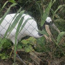 この格好で佇んでいる姿も可愛いっ( ´∀｀ )