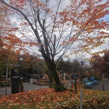 タンチョウ舎前の秋の景観