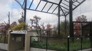 秋のしみじみとした風情が良かったです