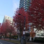 紅葉もきれいな繁華街